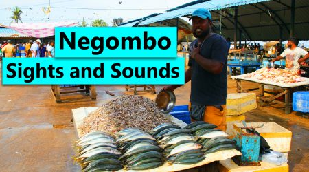 City of Negombo